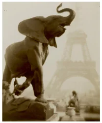 Elephantaisie c.1908
